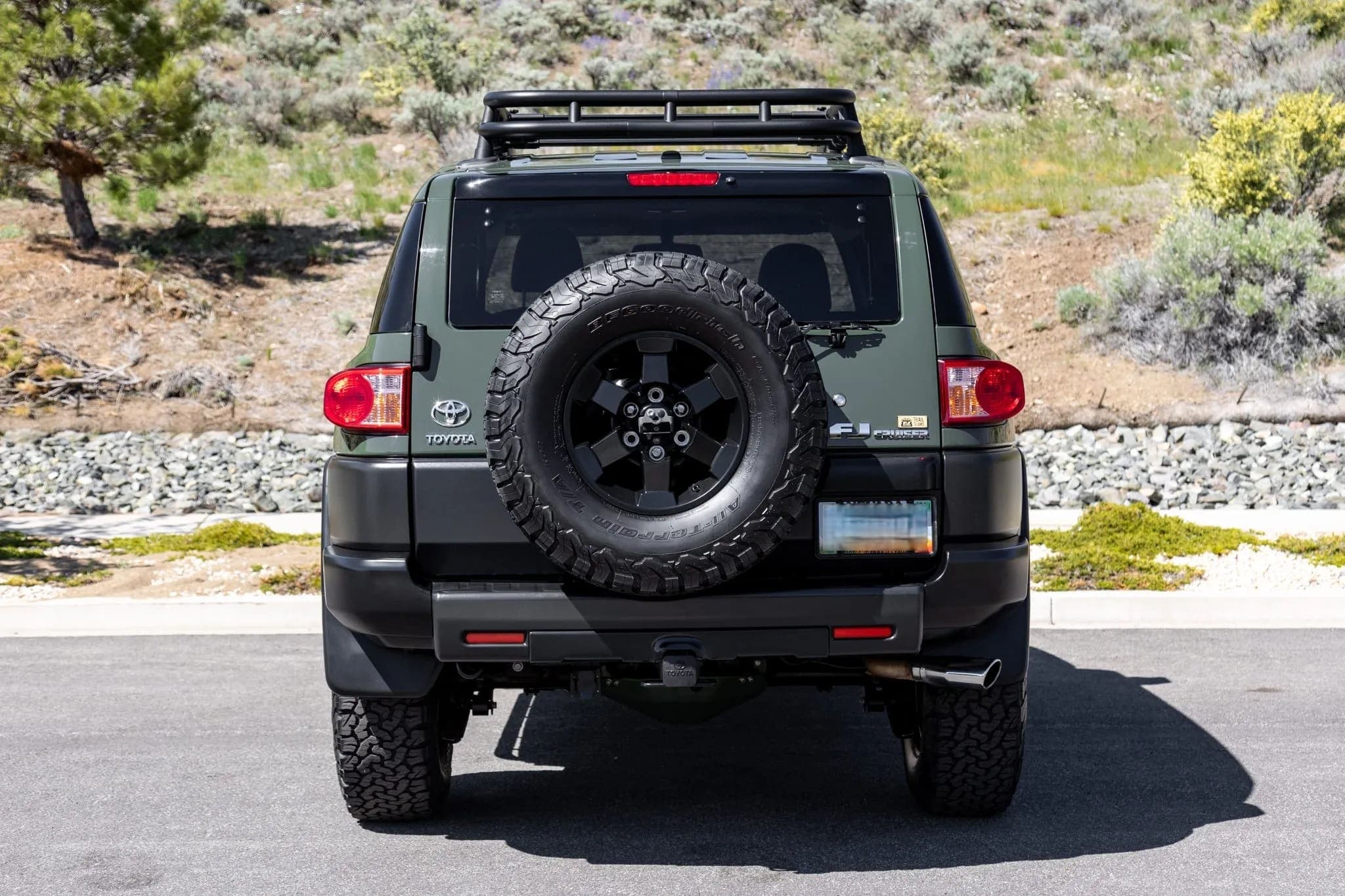 2011 Toyota FJ Cruiser Trail Teams Special Edition, view