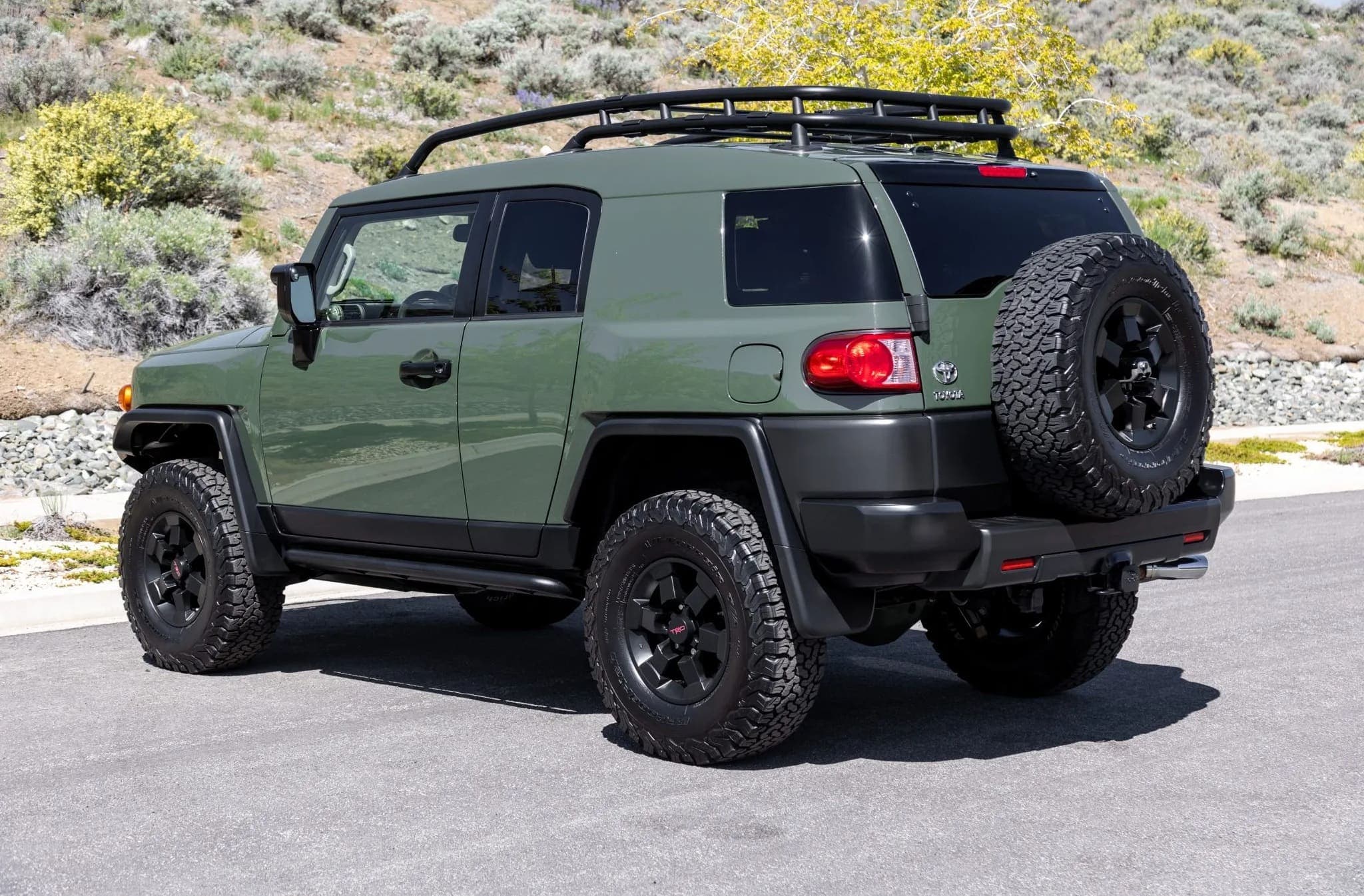 2011 Toyota FJ Cruiser Trail Teams Special Edition, view