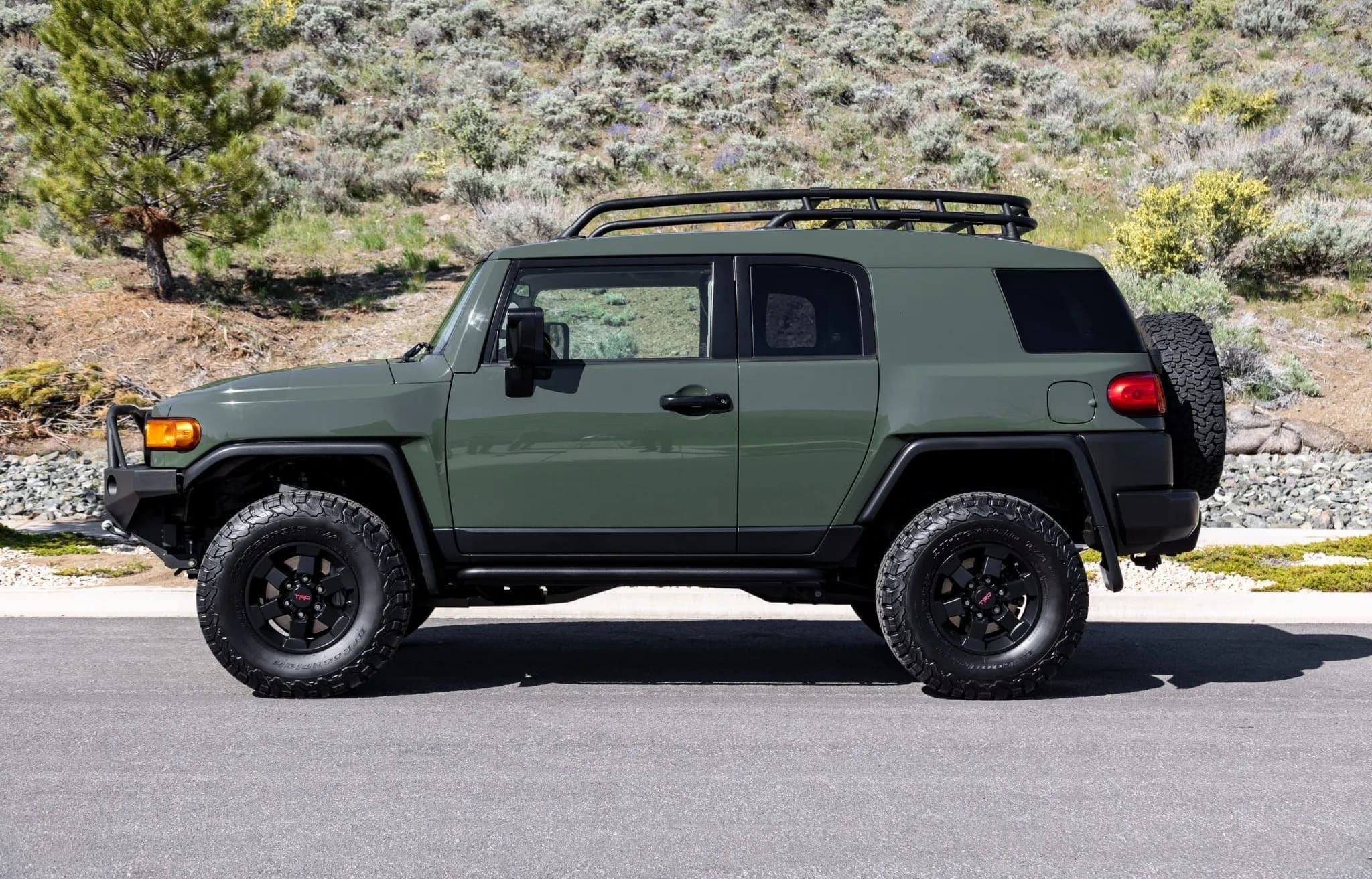 2011 Toyota FJ Cruiser Trail Teams Special Edition, view