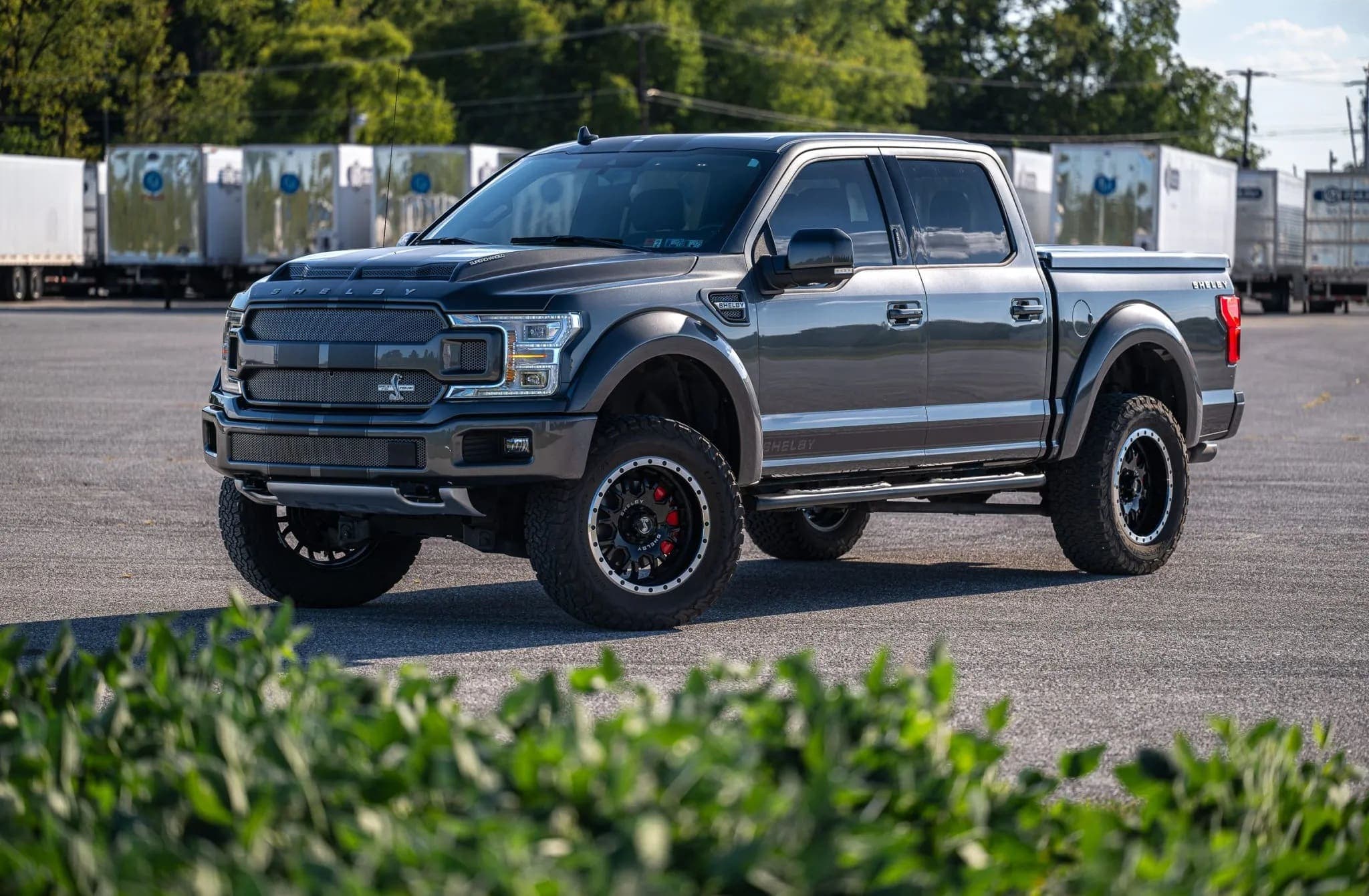 Ford Shelby F-150 Super Crew 4×4 exterior