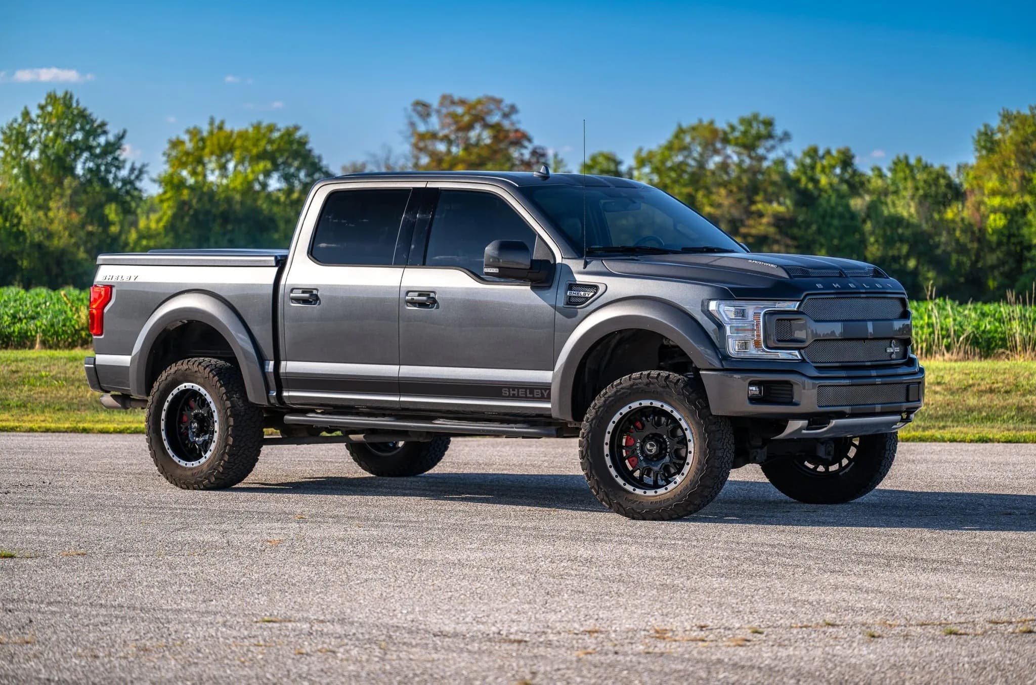Ford Shelby F-150 Super Crew 4×4, view