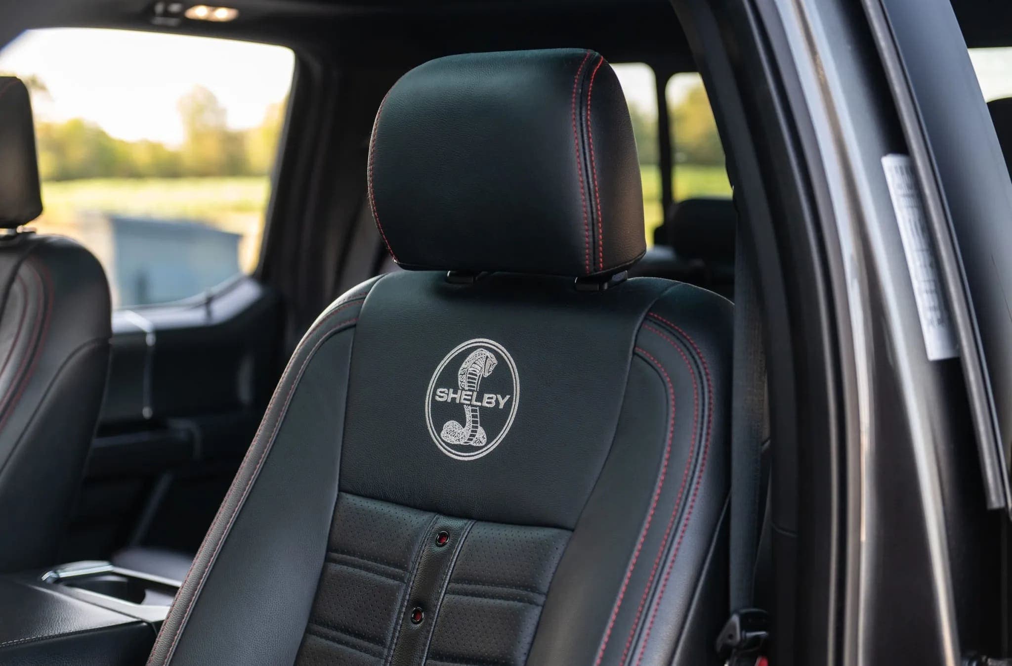 Ford Shelby F-150 Super Crew 4×4, view