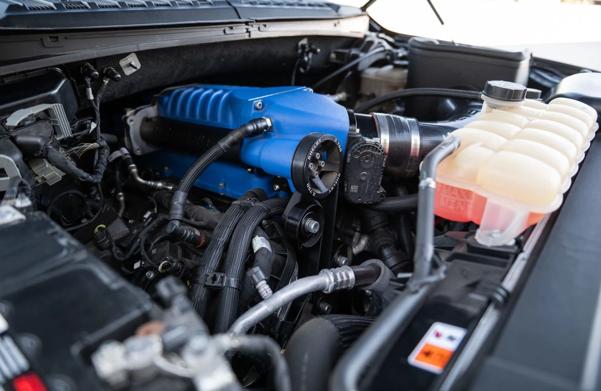 Ford Shelby F-150 Super Crew 4×4, view
