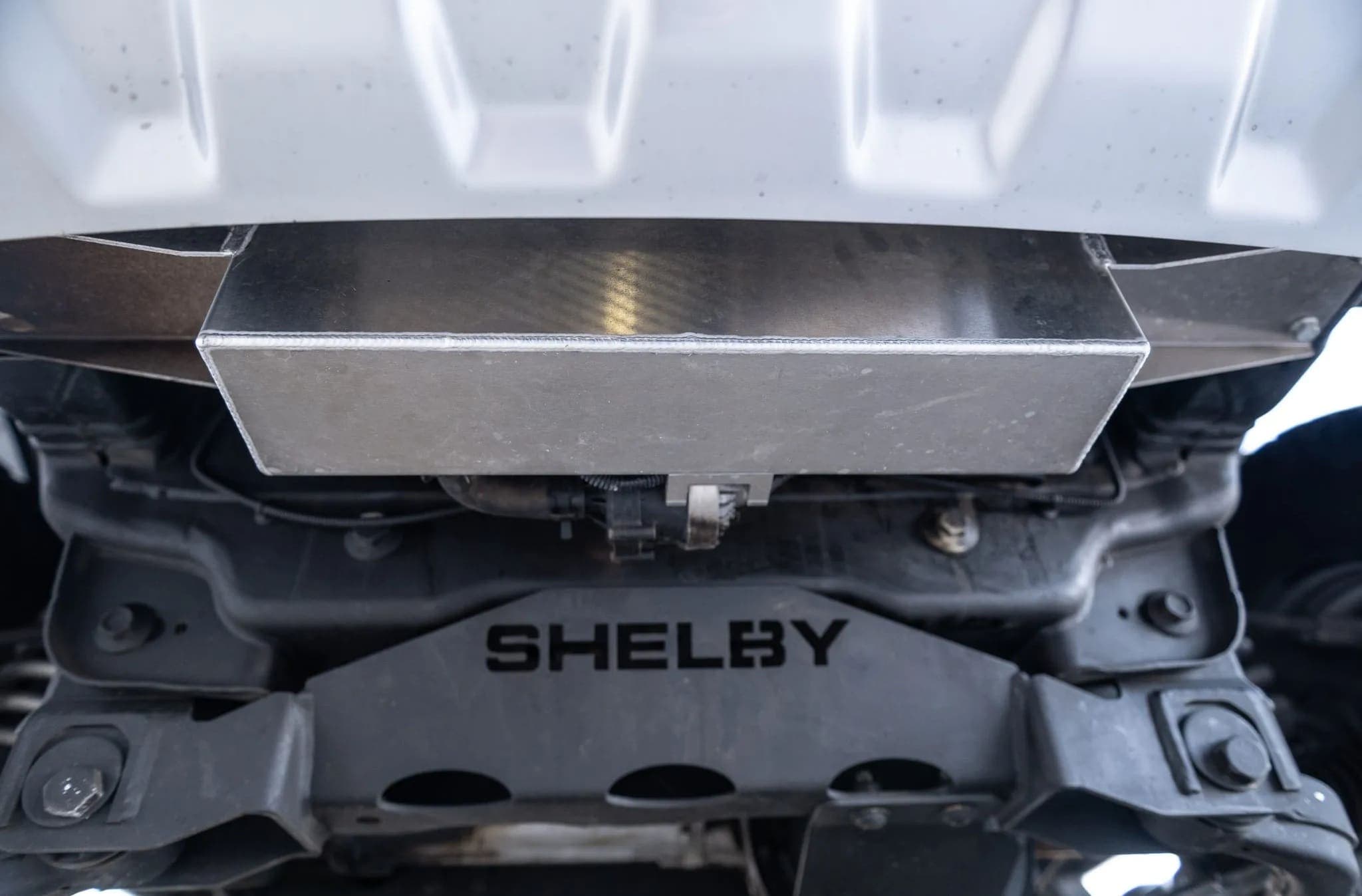 Ford Shelby F-150 Super Crew 4×4, view