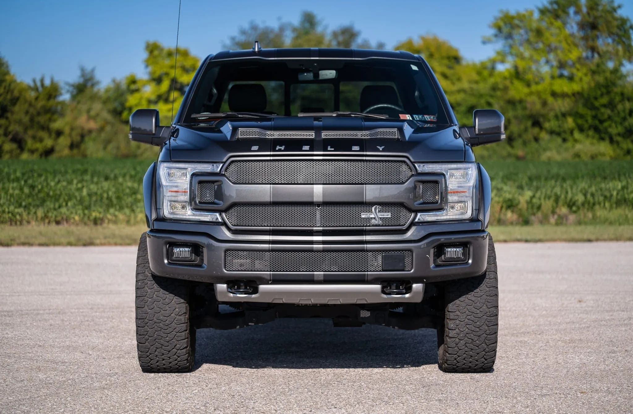 Ford Shelby F-150 Super Crew 4×4, view