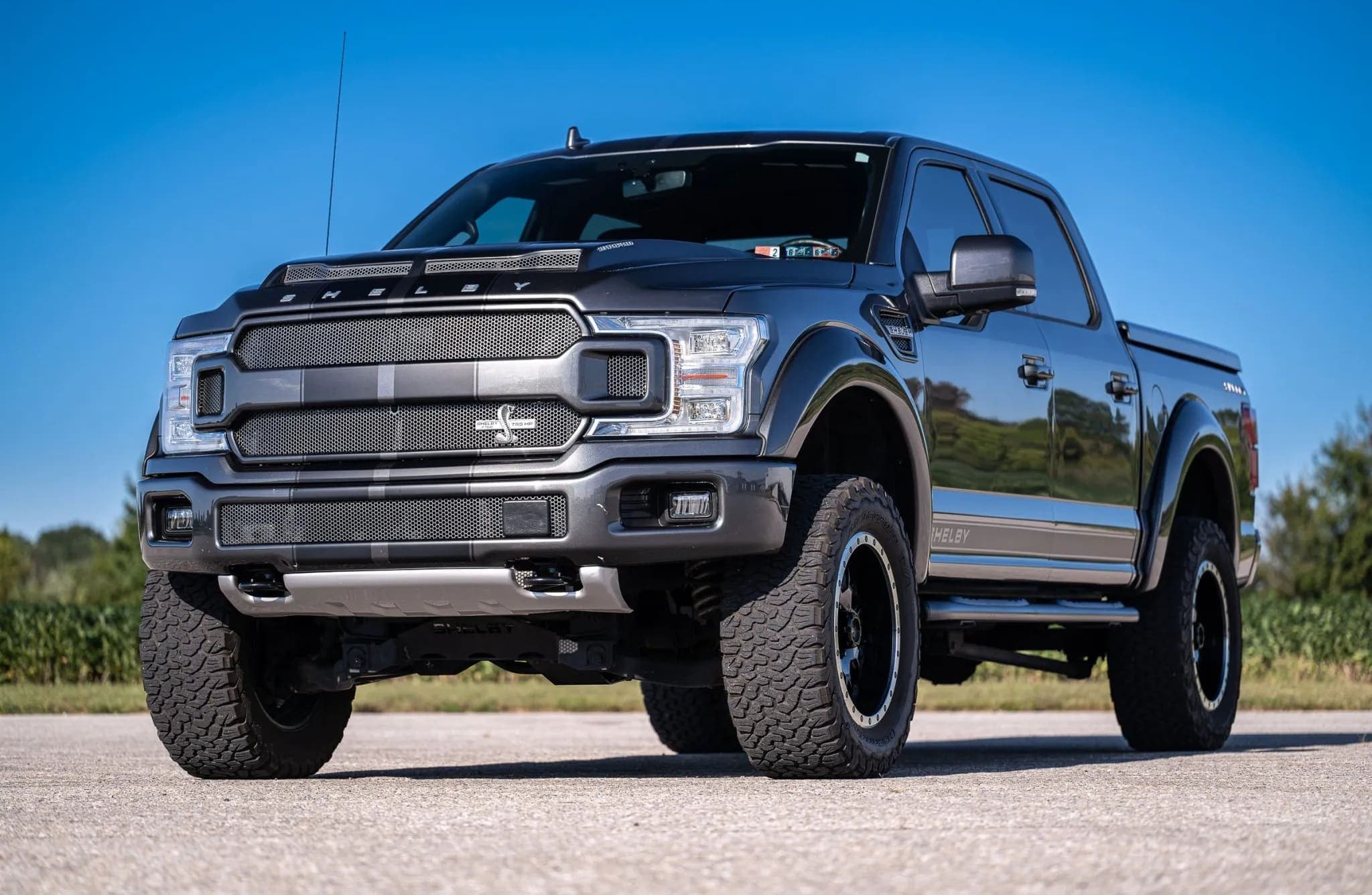 Ford Shelby F-150 Super Crew 4×4, view